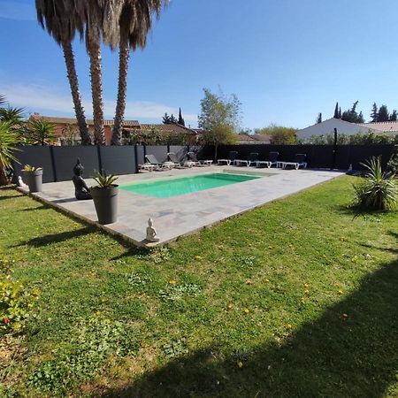 Le Mas du Bijou Bleu Puget-sur Argens Extérieur photo