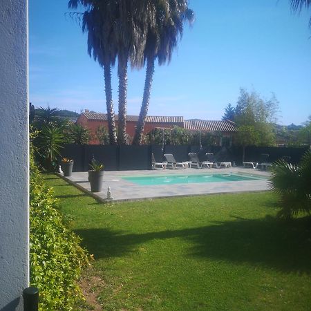 Le Mas du Bijou Bleu Puget-sur Argens Extérieur photo