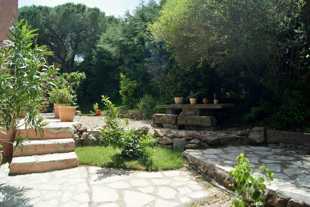 Le Mas du Bijou Bleu Puget-sur Argens Extérieur photo